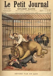 A young man devoured by a lion despite the tamer