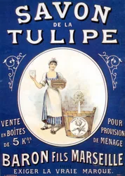 Advertising Poster for Soap 
