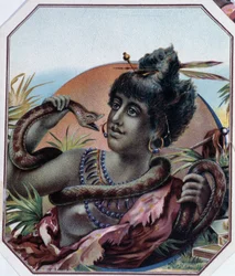 African black woman and snake - Cigar box label, late 19th century