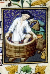 Allegorical representation of September. Harvest, grape stripping. Miniature of a 14th century manuscript