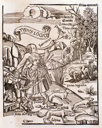 Allegory of Logic from Margarita Philosophica by Gregor Reisch (1508)