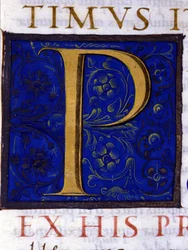 Alphabet: miniaturized letter P