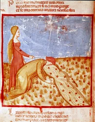 At the entrance of Paradise, Dante meets Mathelda, and drinks water from the Eunoe River, which makes the memory of good things accomplished. Illuminated page illustrating a song of Paradise from the 