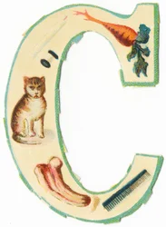 C: Coral, Carrot, Candle, Cotton, Cat, Colocynth, Comb