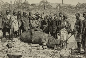 Catching of a hippo from the Jubba River, Africa, engraving from L