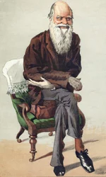 Charles Darwin, illustration in Vanity Fair of September 30