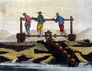 China. Water Irrigation System for Rice Cultivation. 19th Century Print
