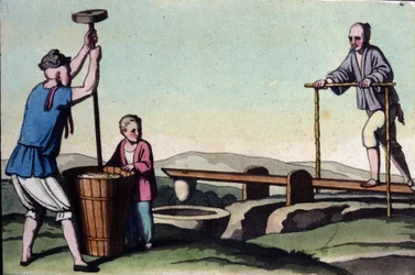 China, on the left the husking of rice and on the right the regulation of water for the cuttings - in The Old and Modern Costume by Jules Ferrario