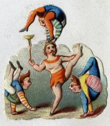 Circus: contortionists and balancers executing a number
