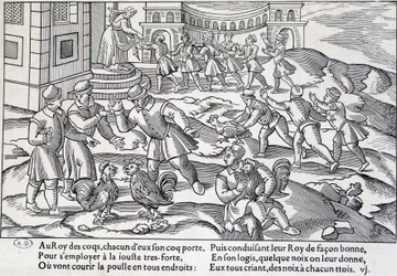 Cockfighting, XVI-XVII century