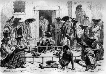 Cockfighting in South America. Engraving in “Le Journal de la Jeunesse”