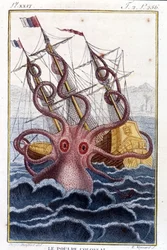 Colossal Octopus Attacking a Ship - Engraving from the Book by Pierre Denys-Montfort 