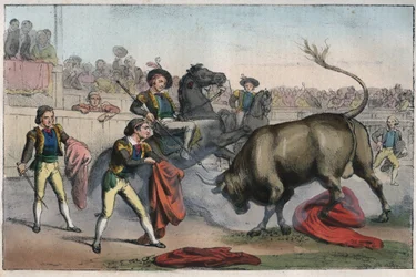 Bullfight in Spain: the picador - Bull charging a picador - engraving from “Usi e Costumi di Tutti i Popoli dell