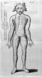 De Acupunctura by W.Ten Rhijne. London 1683. First Western text dealing with Acupuncture.