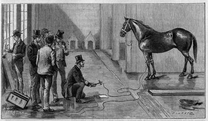 Death by Electricity: a horse killed by electricity during an experiment performed at the Laboratory of Edison, Orange (United States). Engraving in 