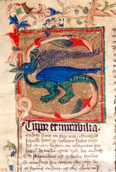 Dragon Decoree Lettrine (detail)