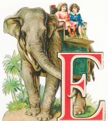 E: Elephant