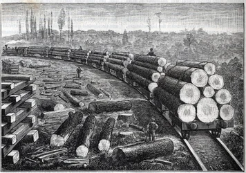 Exploitation of United States forests. Temporary railways with wooden track. Wagons carrying tree trunks. Engraving in 