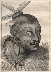 First voyage of Captain James Cook: tattooed head of a New Zealander - illustration taken from “The Great Mariners of the 18th century”