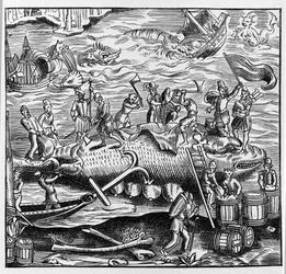 Fishing and whaling, based on a wood engraving from Thevet
