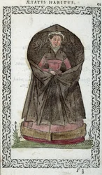 Flemish Demoiselle - in 