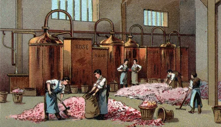 Flower distillery for the production of petrol and water of Flowers. Chromolithography of the late 19th century
