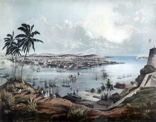 General view of Havana in 1850