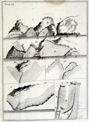 Geology Chart Showing Tectonic Movements