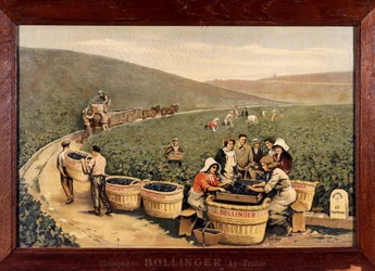 Harvest at Bollinger, circa 1900