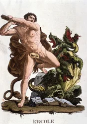 Hercules slaying the Hydra of Lerna - engraving