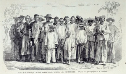 Chinese Immigrants Working in Guadeloupe