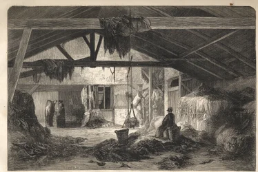 Housing of a rags merchant in the rue de la Montagne Sainte Genevieve in Paris in the 5th arrondissement. Engraving of 1861