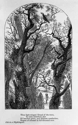 Illustration for 