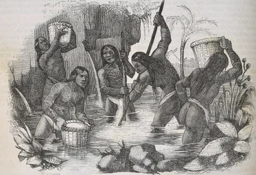 Indians from Island of Hispaniola panning for gold
