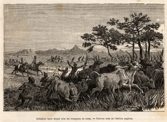 Indigenous Baris (Sudan) fleeing with herds confiscated by Sir Baker. Engraving illustrating an armed expedition