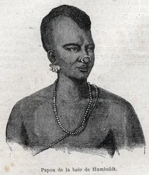 Indigenous people of New Guinea: Papua of Humboldt Bay. Engraving in 