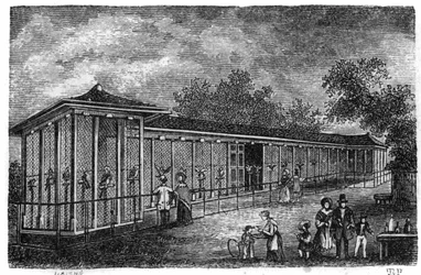 Jardin des Plantes in Paris in 1861: falconry