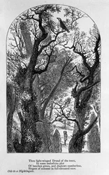 John Keats: Ode to a Nightingale