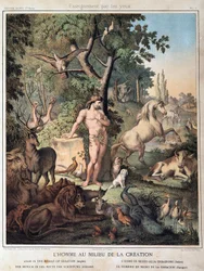 Man in the Middle of Creation - in 