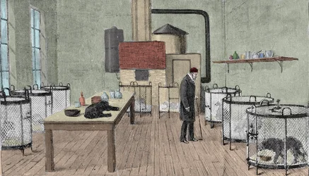 Louis Pasteur (1822-1895), French Chemist and Physicist in His Laboratory in Paris