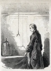 Luigi Galvani causes frog contractions by lightning rod electricity - LUIGI GALVANI (1737-1798) Italian physician and physicist. Causes contractions in a frog with electricity from a thundercloud