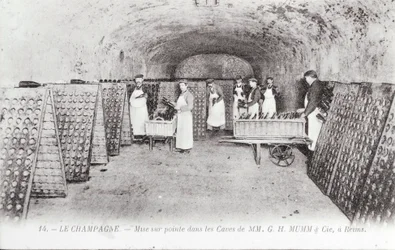 Manufacture of Champagne: Cutting-Edge of Bottles in a Mumm Cellar in Reims, Early 20th Century