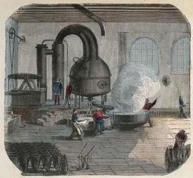 Manufacture of Sugar in a Factory (19th Century Illustration, Bianchetti Collection)