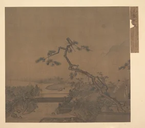 Moonlit Terrace