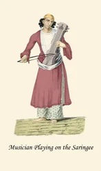 Musician Playing the Saringee