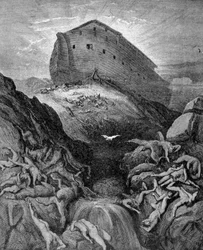 Noah sends a dove to Earth, according to Genesis. 19th century engraving.