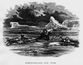 North pole: sled dog hovering a man falls through the ice - Elisha Kent Kane, Arctic Explorations in the years 1853-1855, Philadelphia, Childs and Peterson