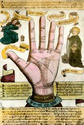 The hand with its lines to read the future