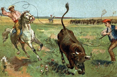 Old custom celebrated in the Provence region: the ferrade in the Camargue. Chromolithography of the late 19th century.