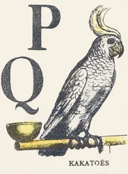 P Q: cockatoos
